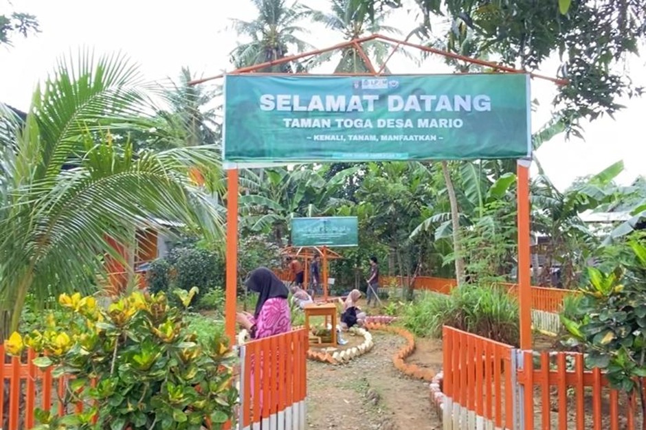 KKN UINAM Angkatan 78 Posko 11 Desa Mario Realisasikan Program Revitalisasi Taman TOGA